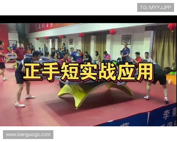 深入分析广州乒乓球队防守战术的独特魅力与实战应用