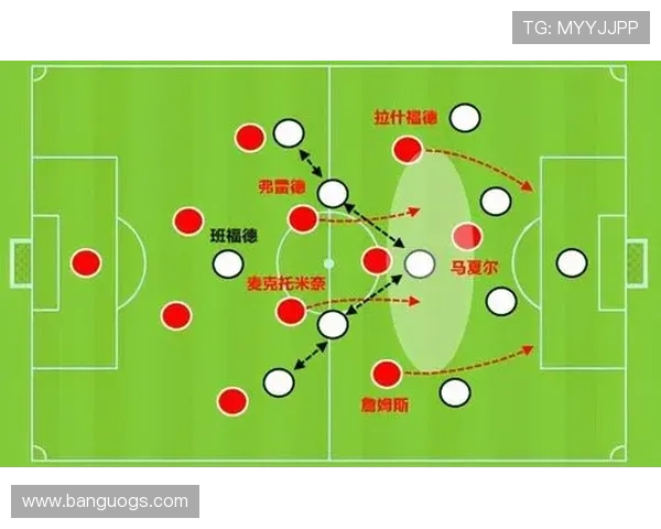 武汉排球队在阵地战中的表现分析与战术反思