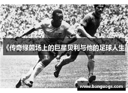 《传奇绿茵场上的巨星贝利与他的足球人生》