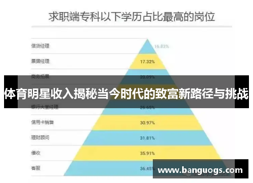 体育明星收入揭秘当今时代的致富新路径与挑战