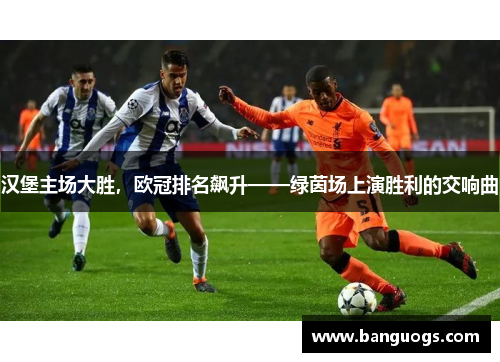 汉堡主场大胜，欧冠排名飙升——绿茵场上演胜利的交响曲