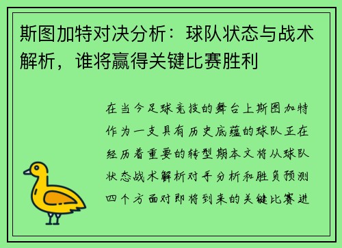 斯图加特对决分析：球队状态与战术解析，谁将赢得关键比赛胜利